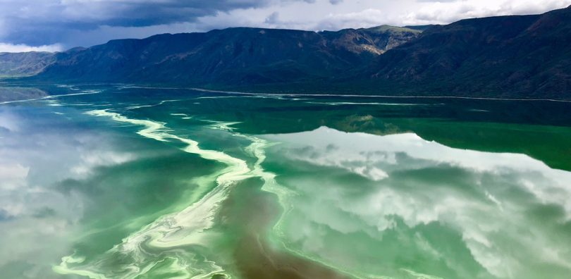 Lake Bogoria