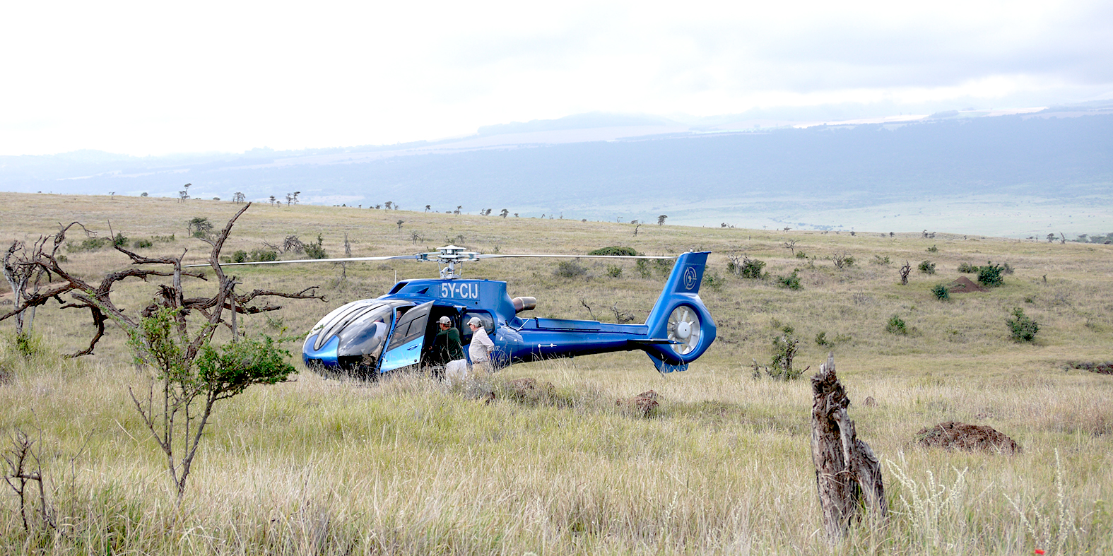 H130 helicopter at Lewa