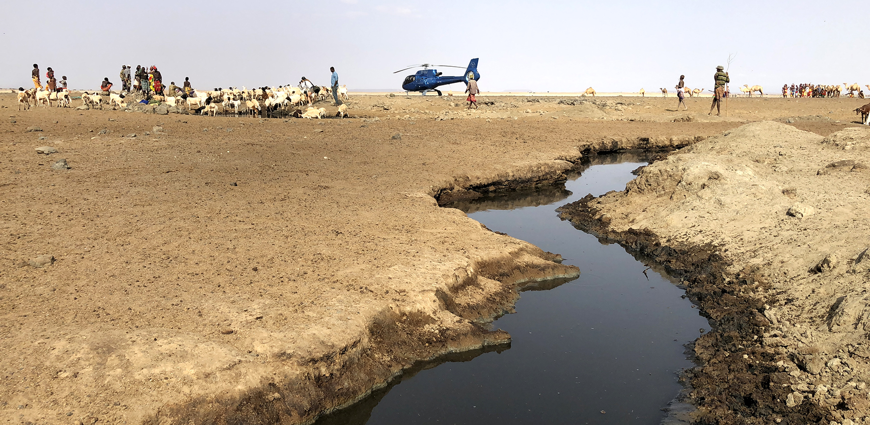 Water pools in the Kaisut Desert