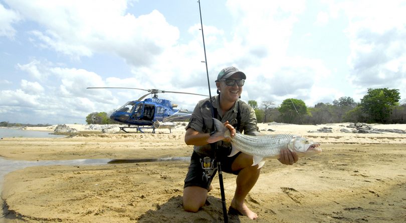 Tiger fishing in the Selous, Tanzania