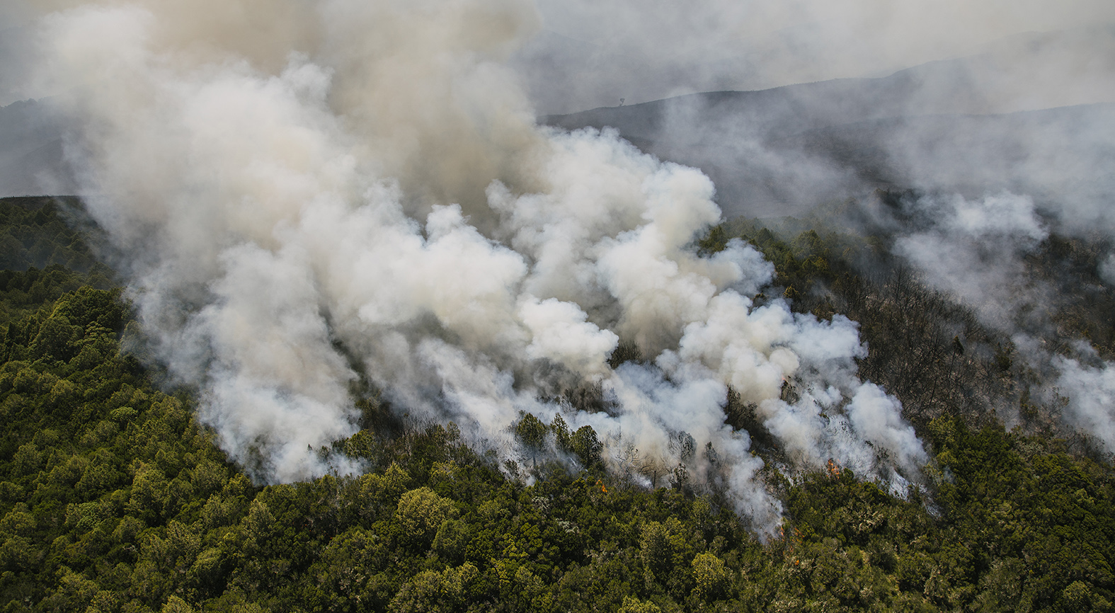 Fires on Mount Kenya