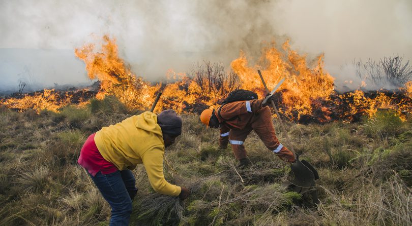 Fires on Mount Kenya