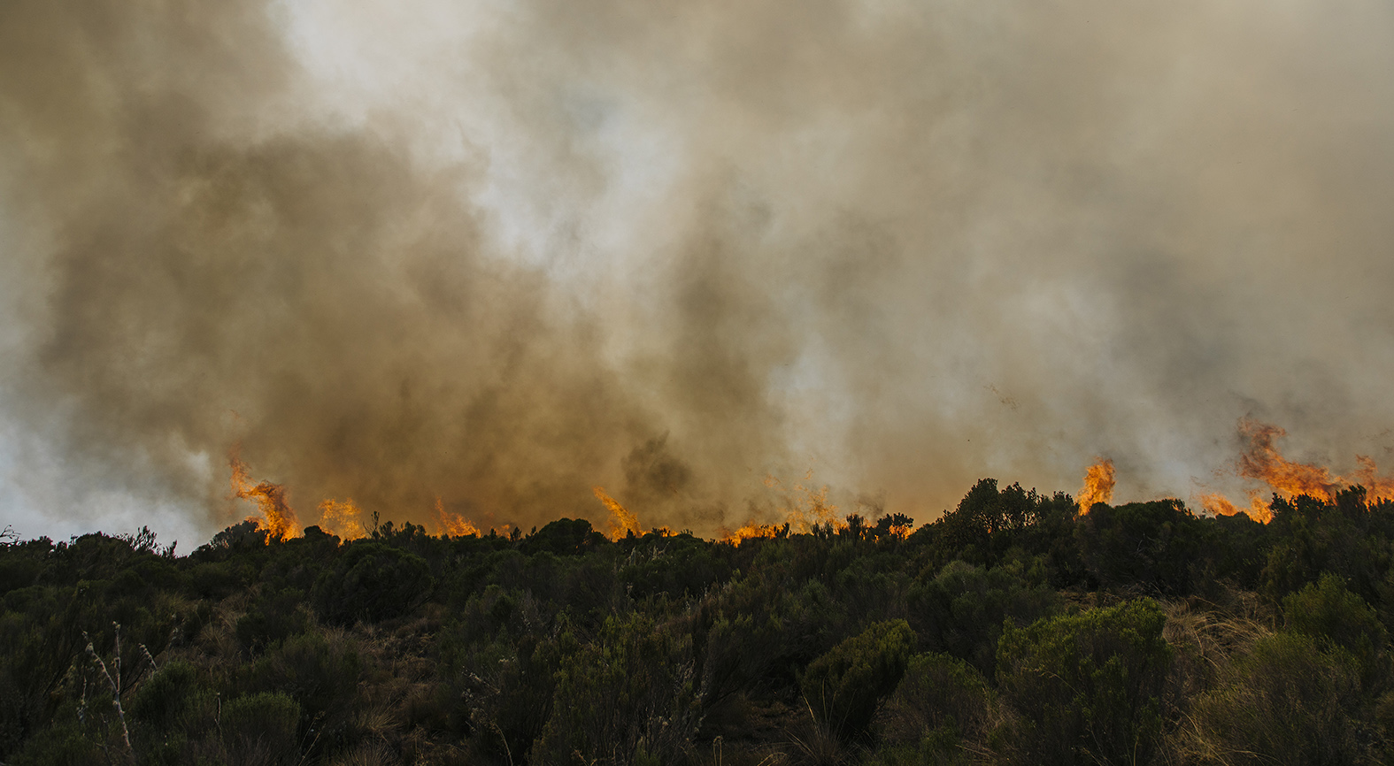 fires on Mount Kenya