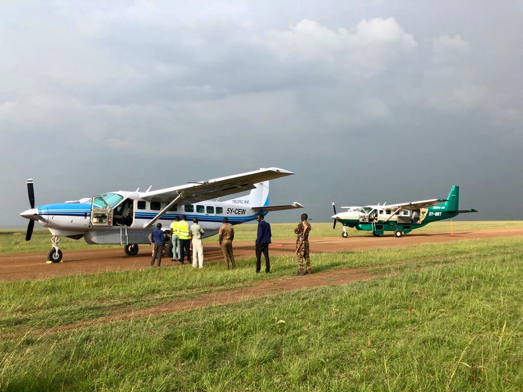 Cessna Caravans in the Maasai Mara